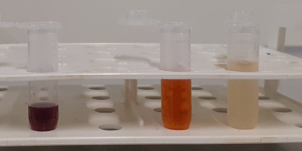 Experiment des Monats