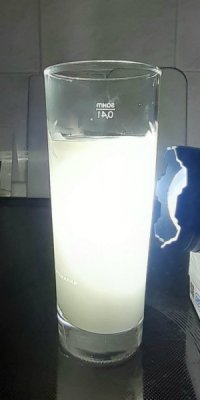 Experiment des Monats