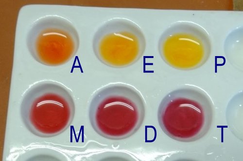 Experiment des Monats