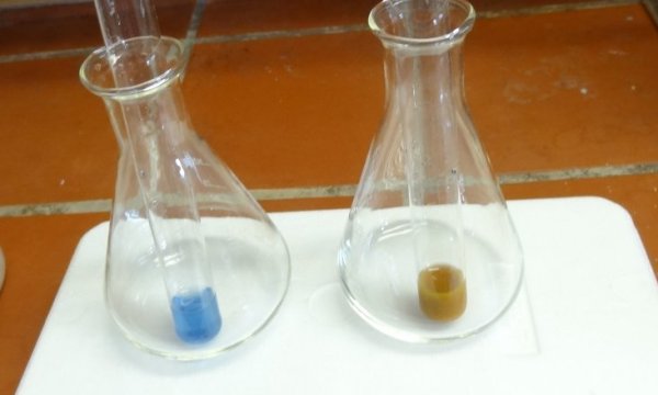 Experiment des Monats